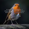 Max Burt - @max.burt5 - TikTok