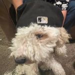 Max Byers - @max.a.byers - Instagram