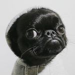 Max Byers - @max.it.up.bro - Instagram