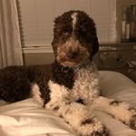 Max Byrd - @max_thatdoodle - Instagram