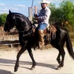 Max Cardenas - @max.cardenas.351 - Instagram