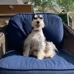 @max.carnes - Instagram