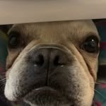 Max Casey - @max_casey124 - Instagram