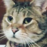 max casey - @max_caseyyy - Instagram