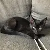 Max Casey - @maxc_on_tiktok - TikTok