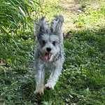 Max Casey - @maxcasey204 - Instagram