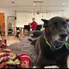 Max - @maxcasey18 - TikTok