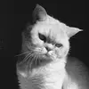 _max_casper - @_max_casper - TikTok