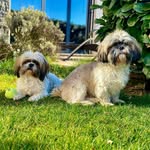 Max & Casper - @maxandcasper - Instagram