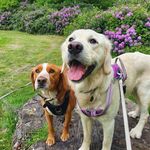 Max and Casper - @lifeofmaxandcasper - Instagram