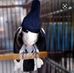 Max Casper - Facebook