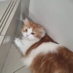 max n casper - @maxie.caspie - Instagram