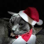 Max&Casper - @max.casper_15007 - Instagram