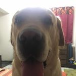 max.dhanjal - @max.casper_dhanjal - Instagram