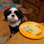 Max Cassell - @maxwellsinghcassell - Instagram