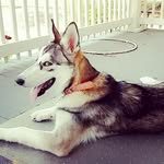 max cassell - @maxamillion172018 - Instagram