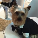 Max Castillo - @maxxcastillo - Instagram