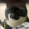 Max Castillo - @max.castillo920 - TikTok