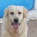 Max Chilson - Facebook