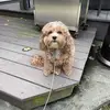 Max_cochran⚽️🏀🏈⚾️ - @maxcochran444 - TikTok