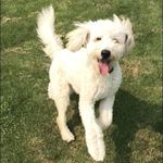 Max - @max__cochran - Instagram
