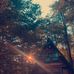 Max Collette - Facebook