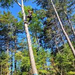 Maxime Collette - @max.collette5 - Instagram