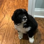 Max Comstock - @maxwell_comstock - Instagram