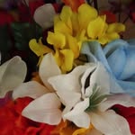 Max Connor - @max.connor.3551 - Instagram
