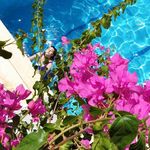 Max Conway - @max_conway_psqq - Instagram