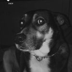 Max - @max_coons17 - Instagram