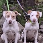 @__max_cooper___ - Instagram