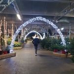 max copeland - @life_of_a_spaz - Instagram