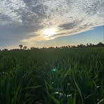 Max Coupland - @couplandmax - Instagram