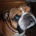 Max Coyle - @max.coyle.773 - Instagram