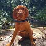 Max Craig - @max_craig_ - Instagram