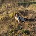 Max Craig - Facebook