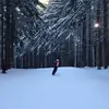 maxcullen27 - @maxcullen27 - TikTok