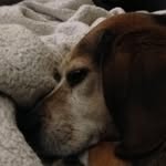 Max-Attack - @max.cullinane - Instagram