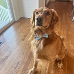 Max Curran - @max_curran3 - Instagram