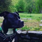 Max Curran-Ceja - @mister_mad_maxx_ - Instagram