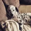 Oliver_Max_Curran - @oliver_max_curran - TikTok