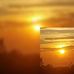 Max Dulman - Facebook