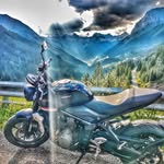 Dambacher Max - @dambachermax - Instagram