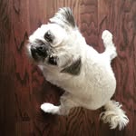 Max Damon - @thatssomax - Instagram