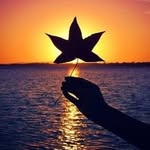 Max Damon - @maxdamon46 - Instagram
