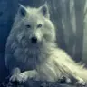 max dane - @user2clpepng2u - TikTok