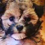 Max Daniels - @max_danielss - Instagram