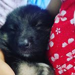 affu😍 - @max___darling - Instagram