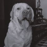 Max _darling 18 - @max_darling18 - Instagram
